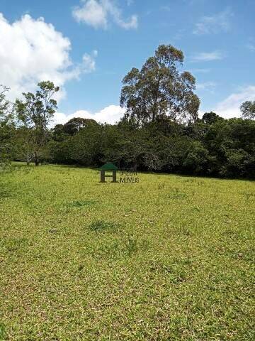 Fazenda à venda com 3 quartos, 180m² - Foto 45