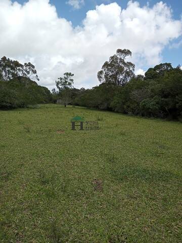 Fazenda à venda com 3 quartos, 180m² - Foto 46