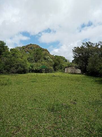 Fazenda à venda com 3 quartos, 180m² - Foto 47