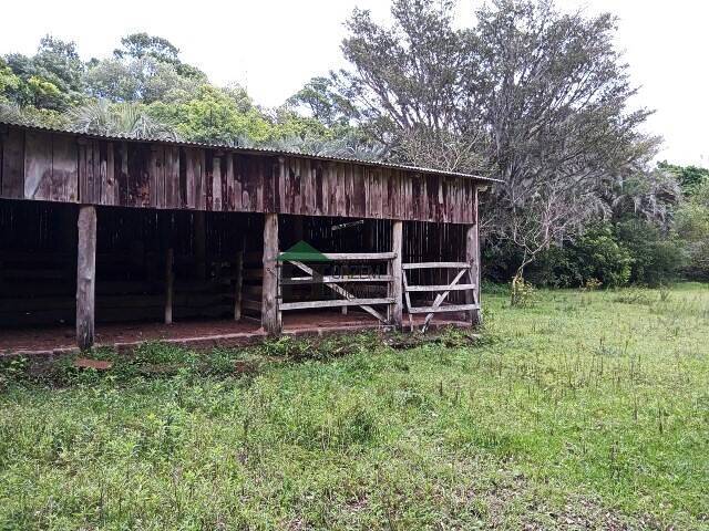 Fazenda à venda com 3 quartos, 180m² - Foto 51