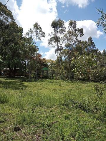 Fazenda à venda com 3 quartos, 180m² - Foto 6