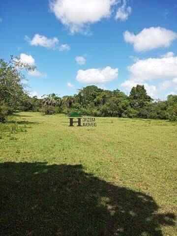 Fazenda à venda com 3 quartos, 180m² - Foto 8