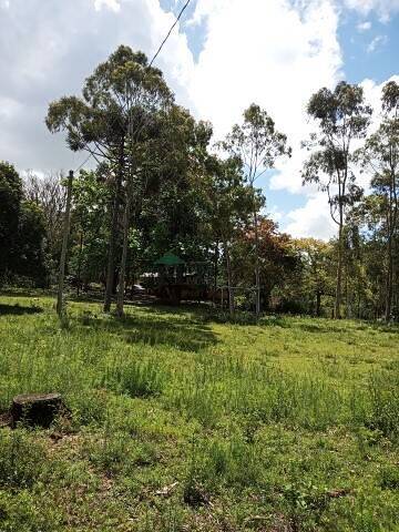 Fazenda à venda com 3 quartos, 180m² - Foto 52