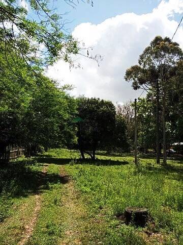 Fazenda à venda com 3 quartos, 180m² - Foto 32