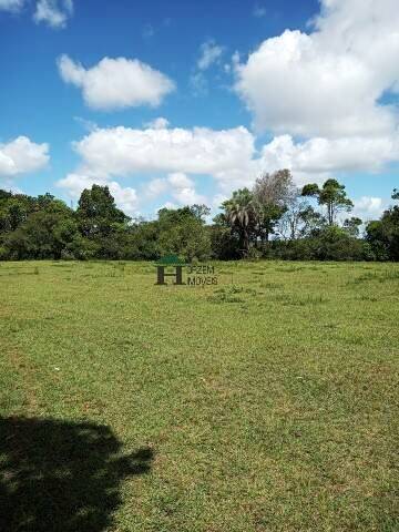 Fazenda à venda com 3 quartos, 180m² - Foto 33