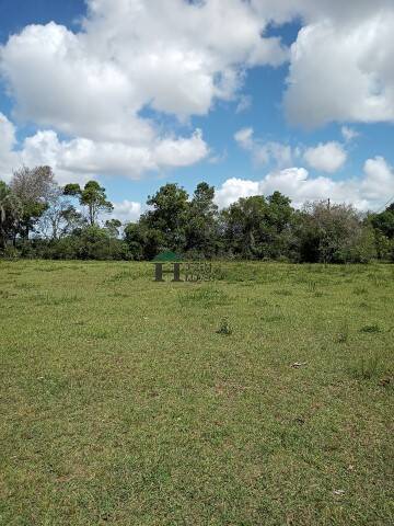 Fazenda à venda com 3 quartos, 180m² - Foto 53