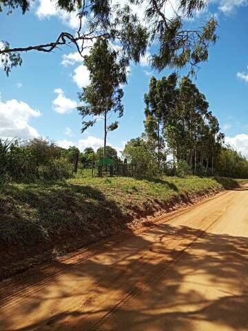 Fazenda à venda com 3 quartos, 180m² - Foto 57