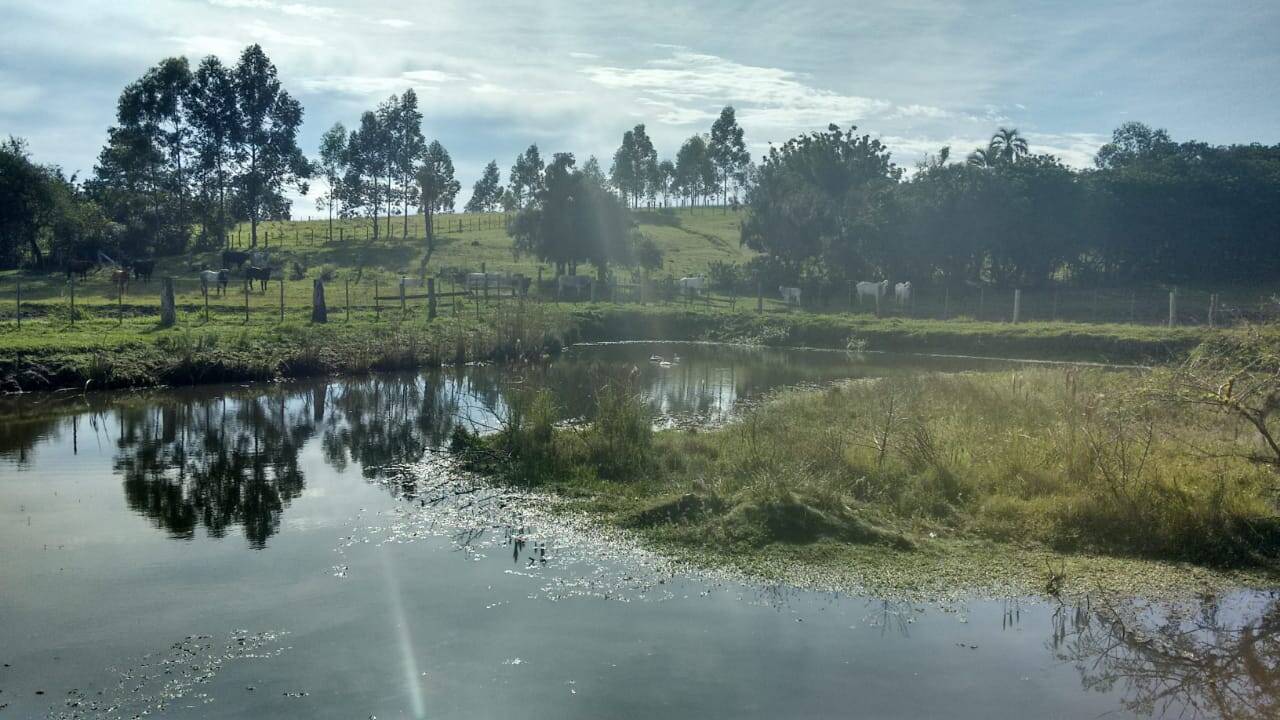 Fazenda à venda com 3 quartos, 180m² - Foto 54