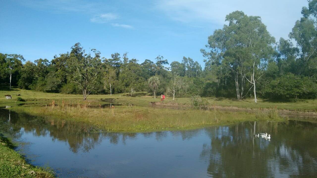 Fazenda à venda com 3 quartos, 180m² - Foto 55