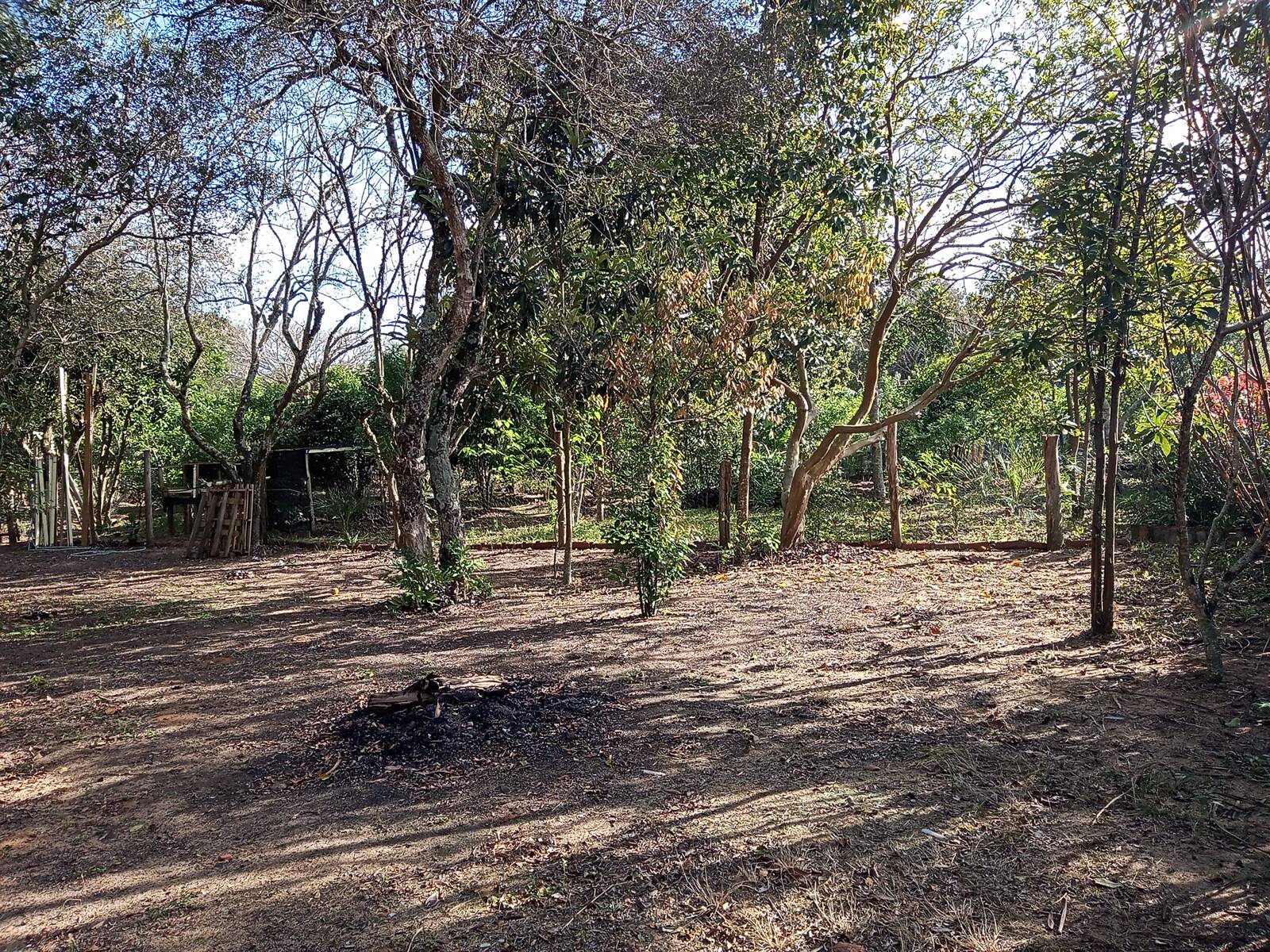 Fazenda à venda com 3 quartos, 70m² - Foto 14