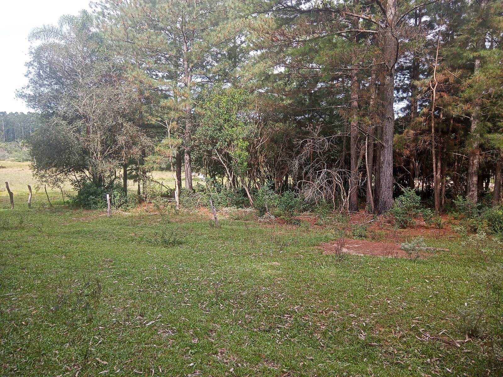 Fazenda à venda com 1 quarto, 140m² - Foto 18