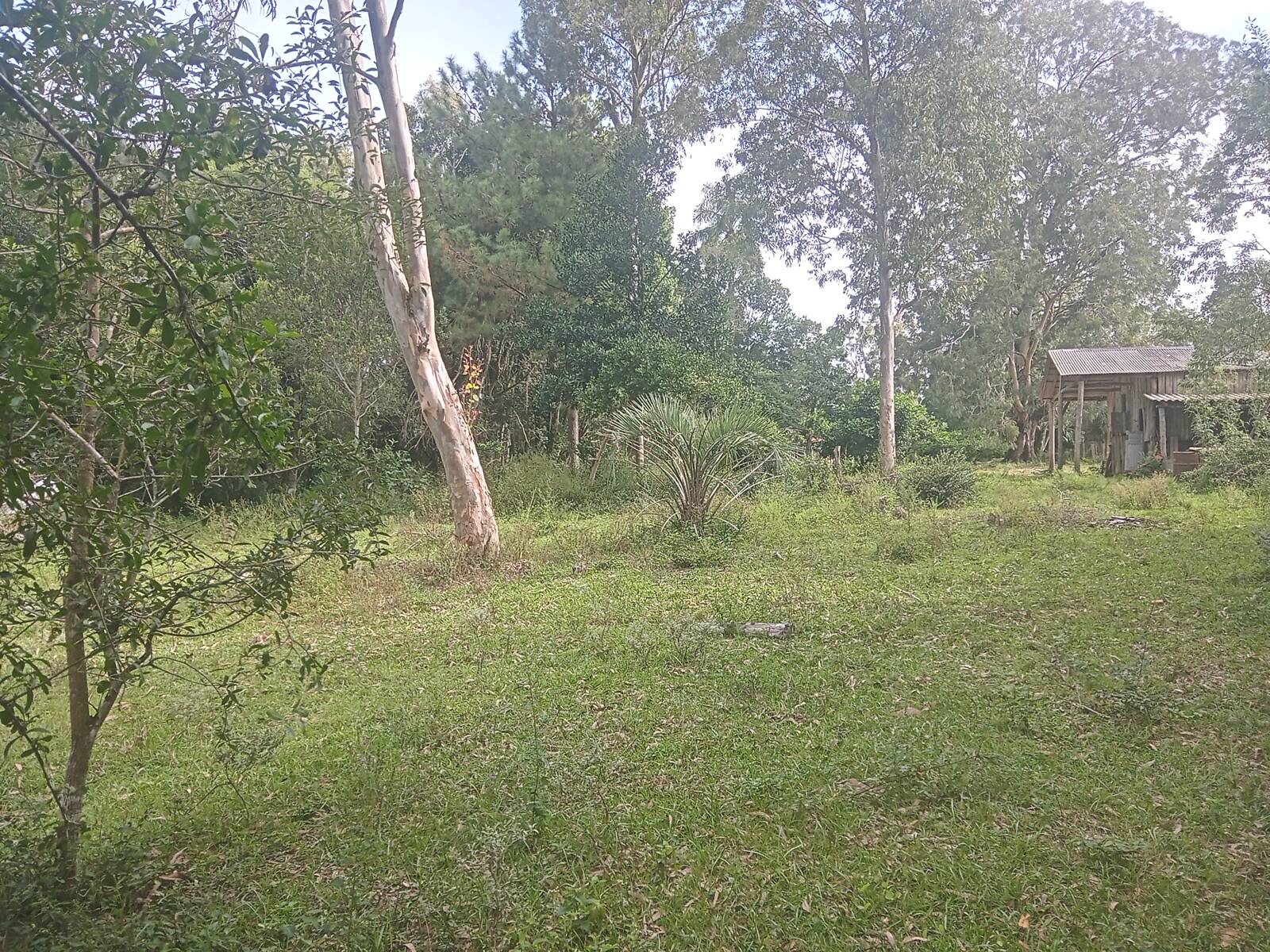 Fazenda à venda com 1 quarto, 140m² - Foto 17