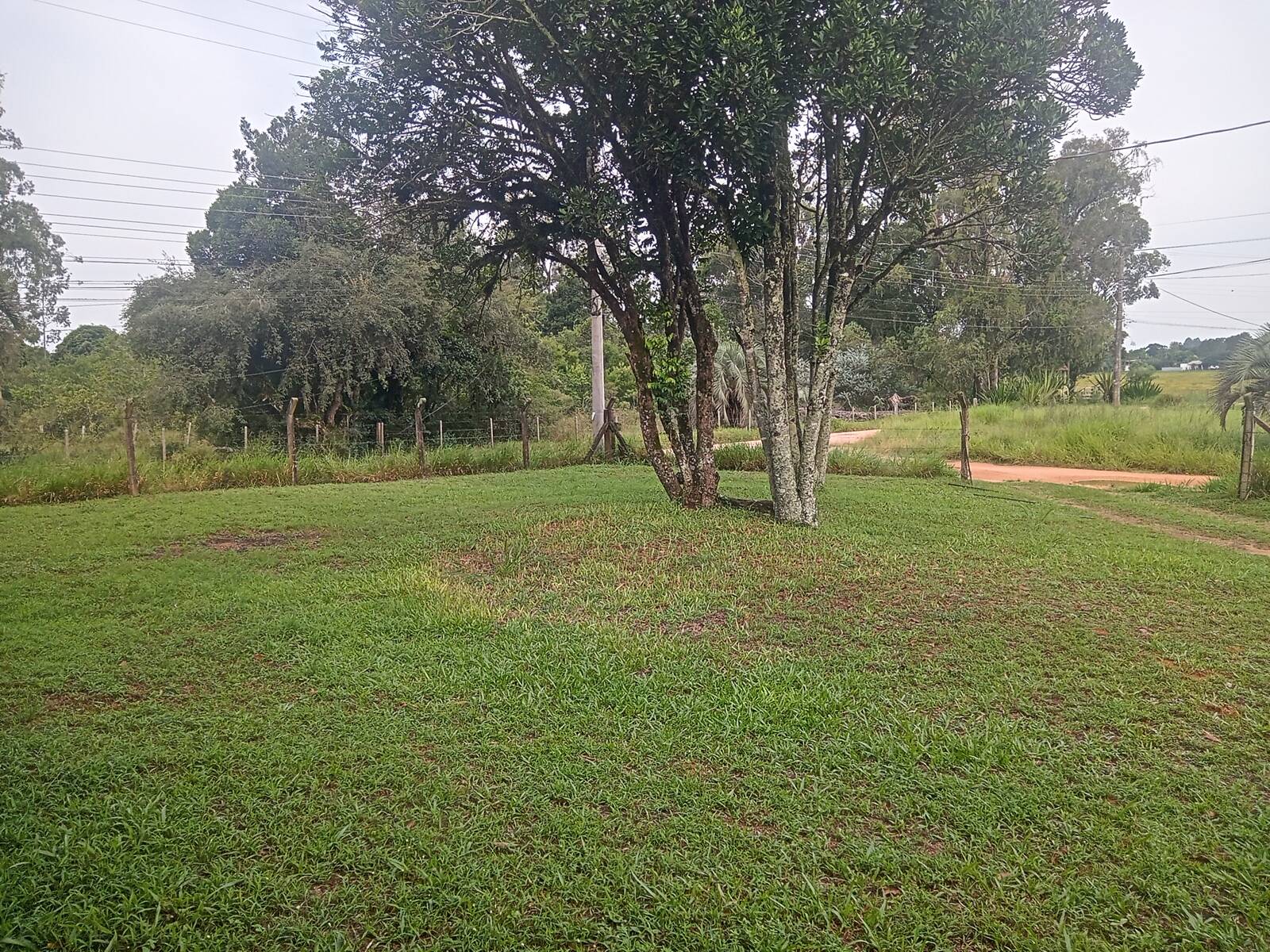 Fazenda à venda com 1 quarto, 140m² - Foto 22