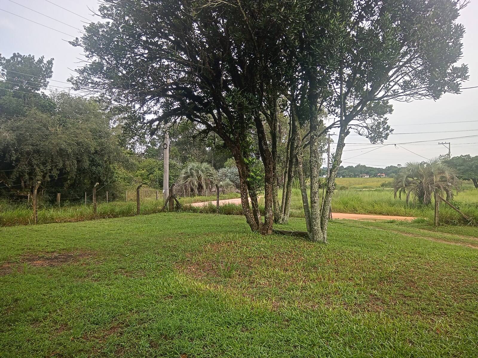 Fazenda à venda com 1 quarto, 140m² - Foto 23