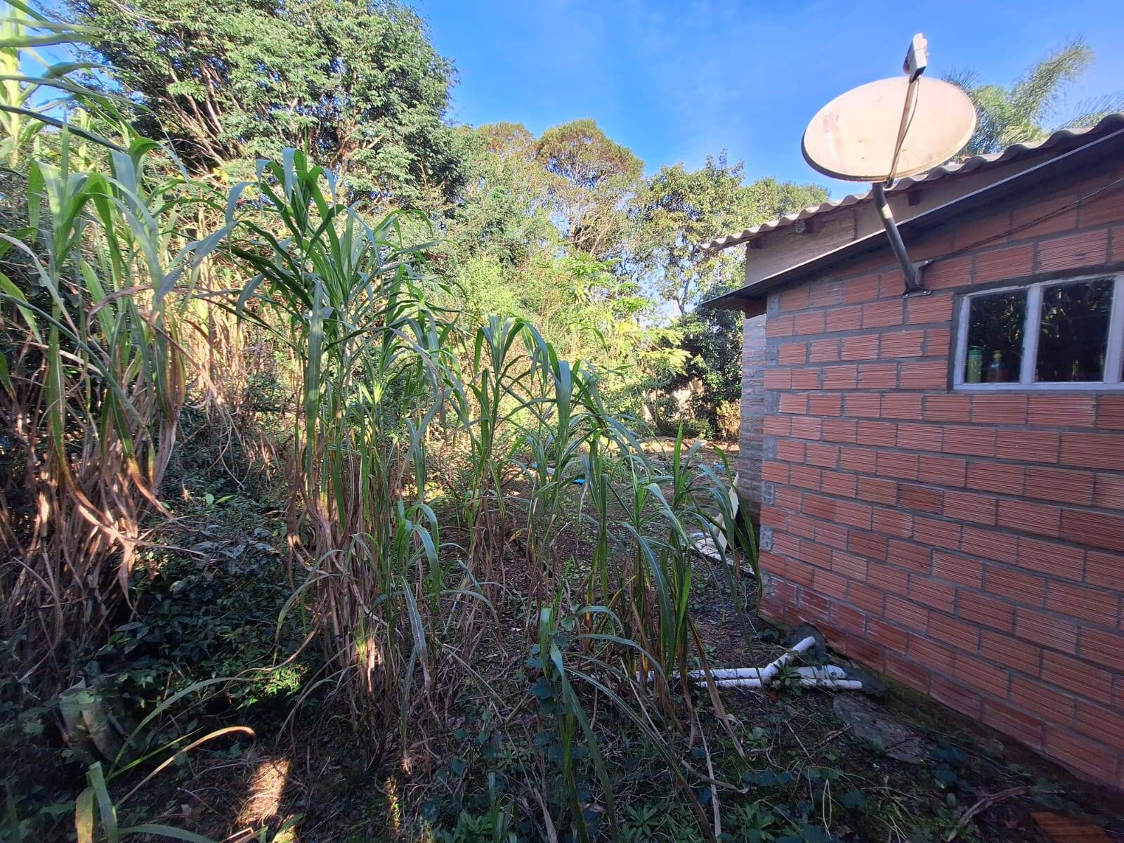 Casa à venda com 3 quartos, 110m² - Foto 13