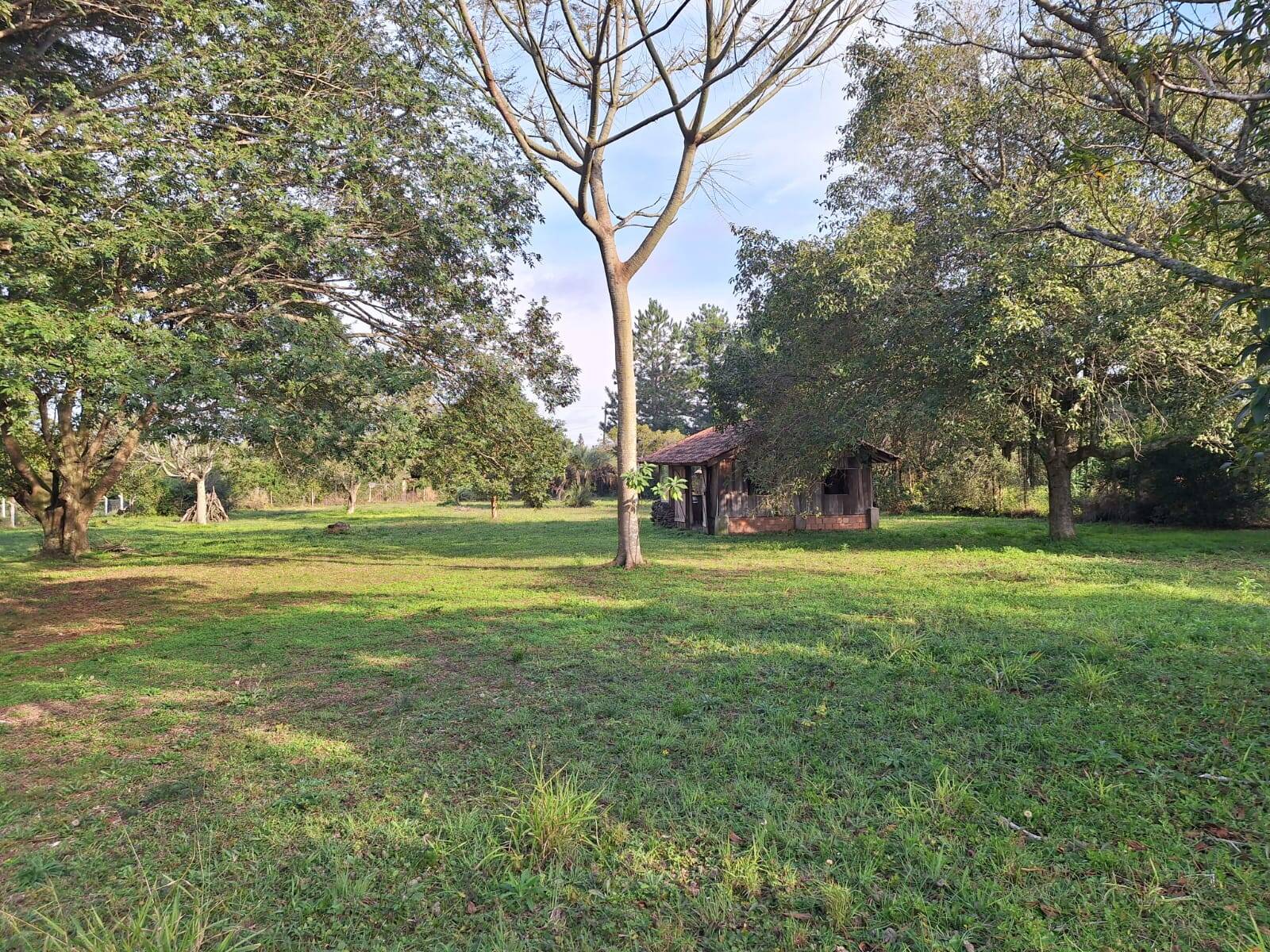 Terreno à venda, 33m² - Foto 1