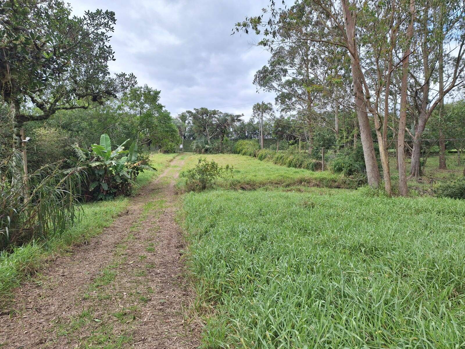 Fazenda à venda com 2 quartos, 60m² - Foto 3