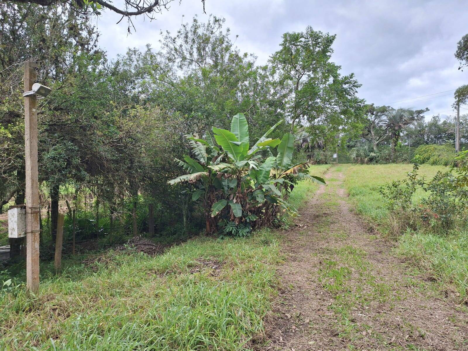 Fazenda à venda com 2 quartos, 60m² - Foto 5