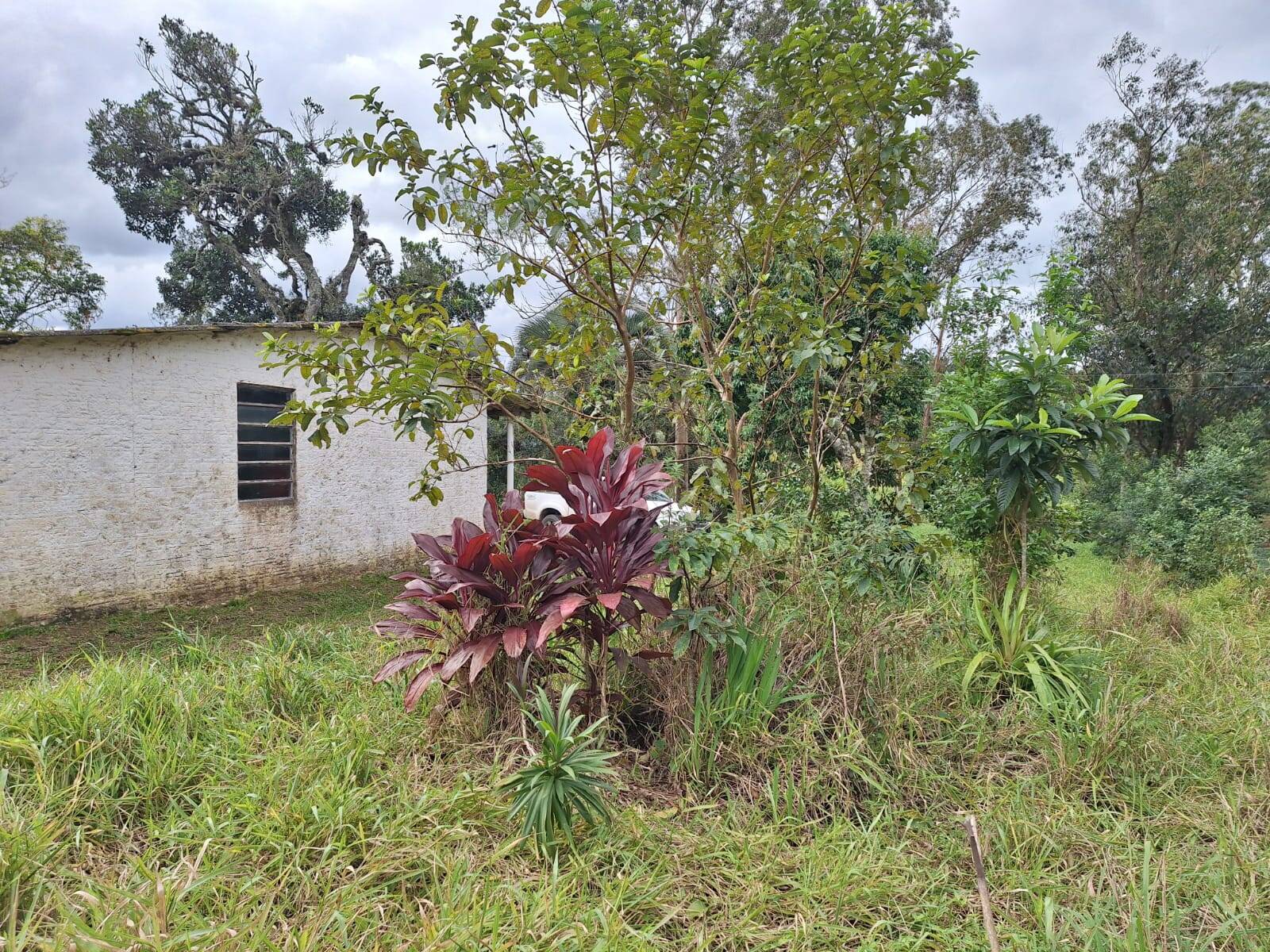 Fazenda à venda com 2 quartos, 60m² - Foto 14