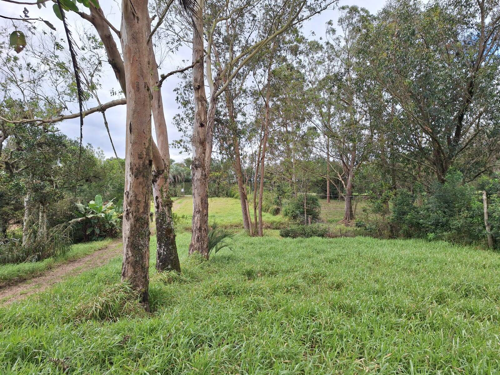 Fazenda à venda com 2 quartos, 60m² - Foto 8