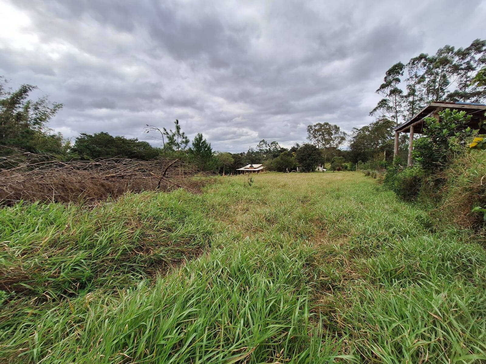 Fazenda à venda com 2 quartos, 60m² - Foto 10