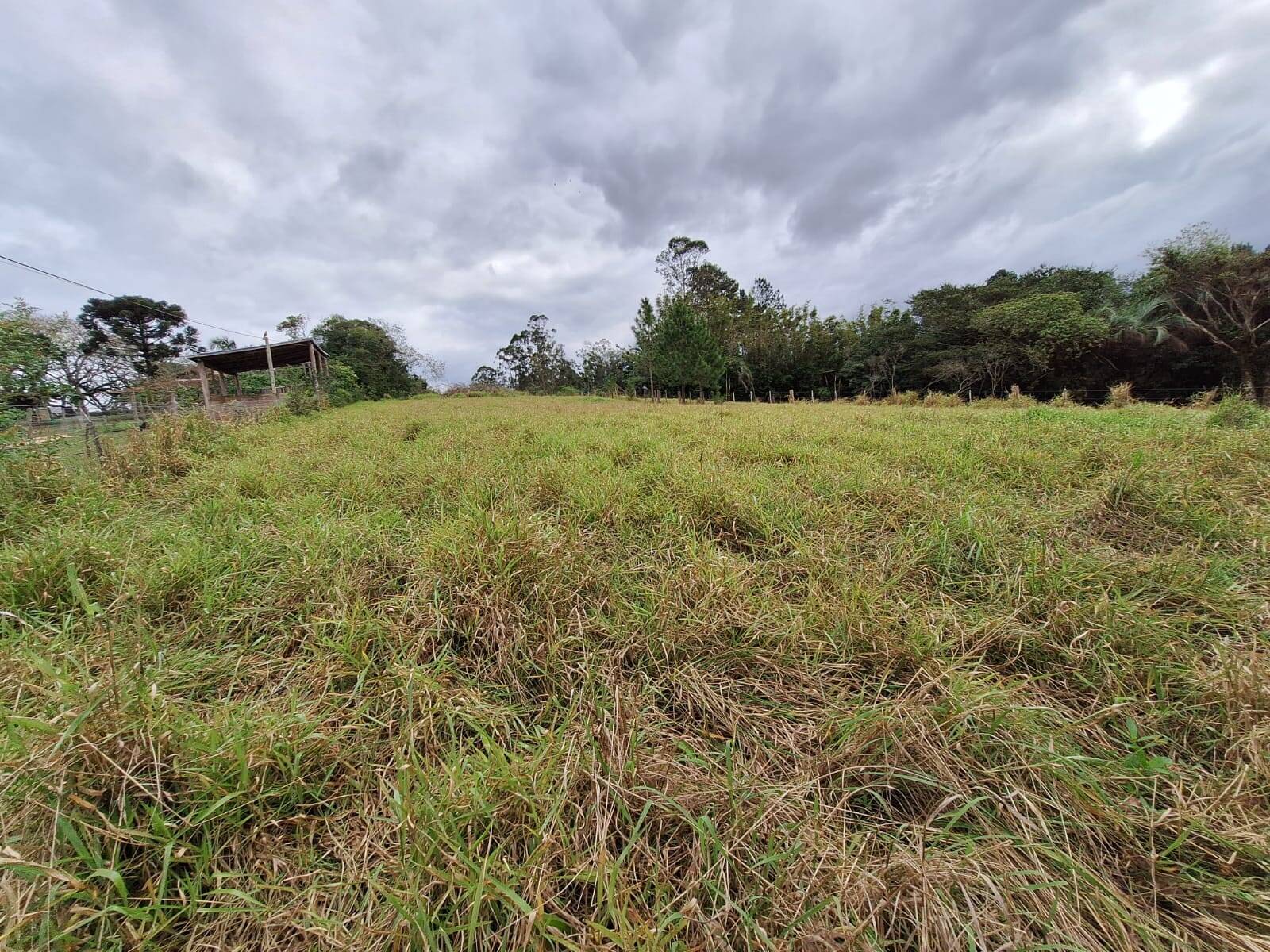 Fazenda à venda com 2 quartos, 60m² - Foto 7