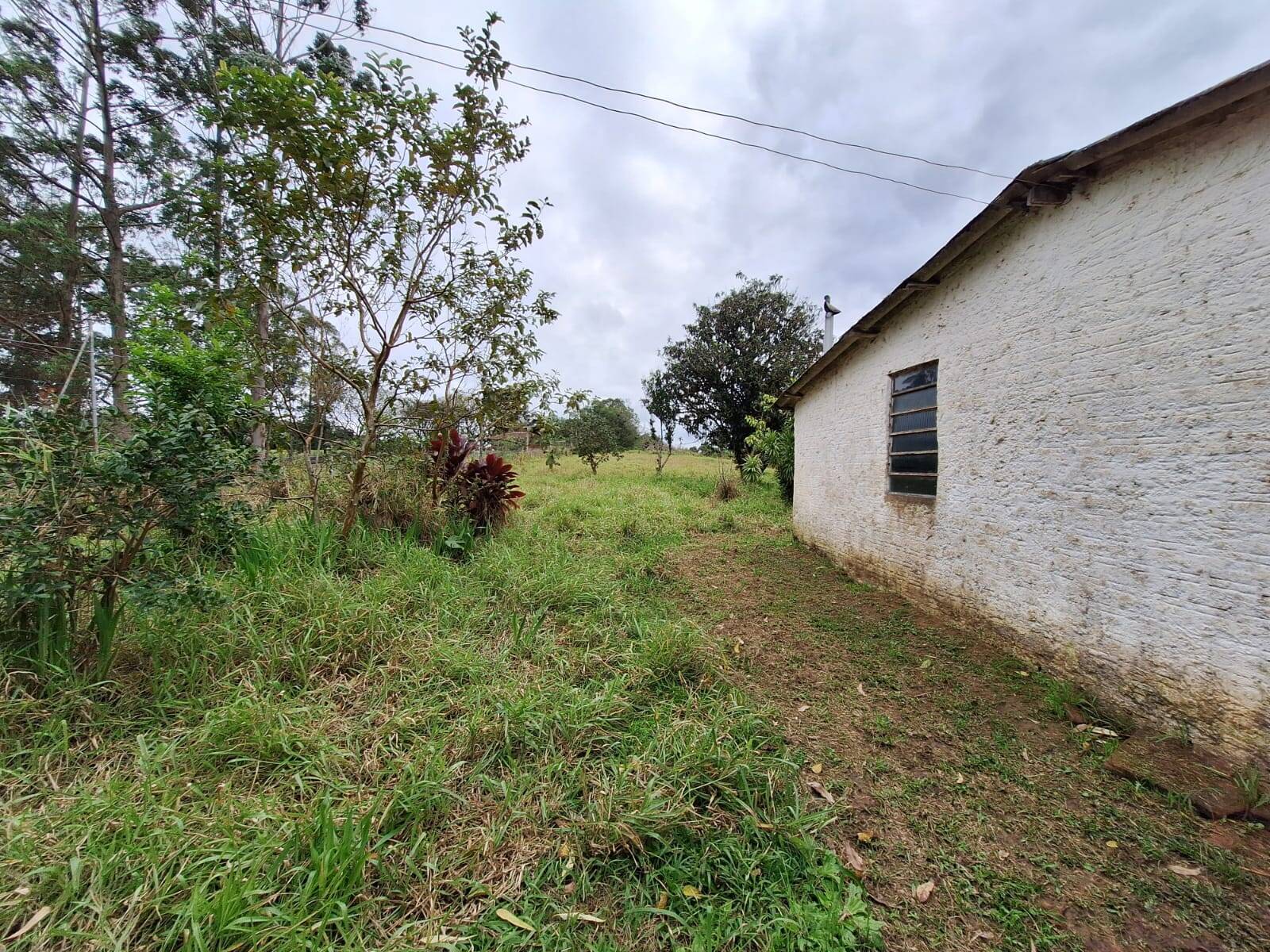 Fazenda à venda com 2 quartos, 60m² - Foto 16