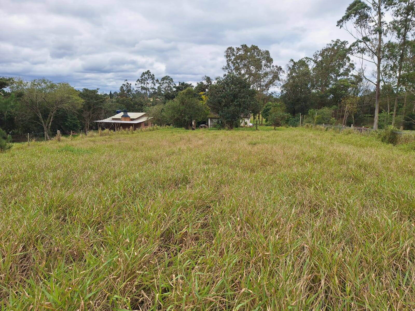 Fazenda à venda com 2 quartos, 60m² - Foto 9