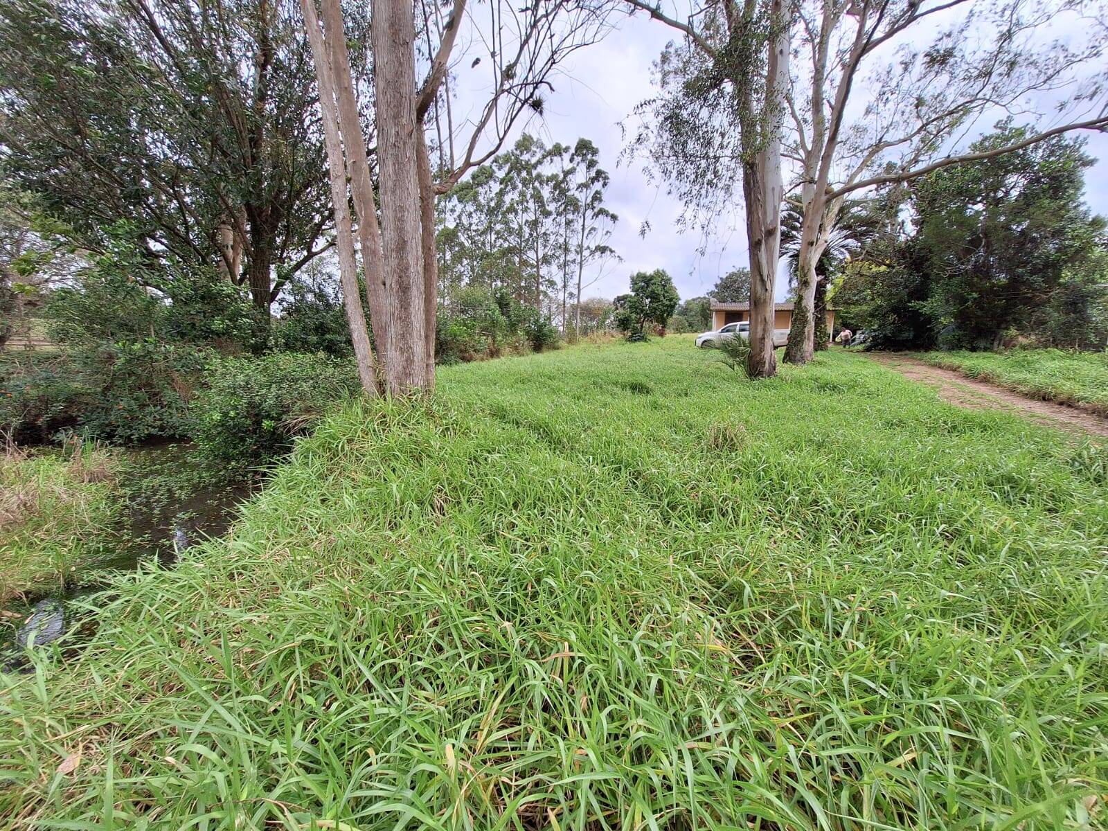 Fazenda à venda com 2 quartos, 60m² - Foto 11