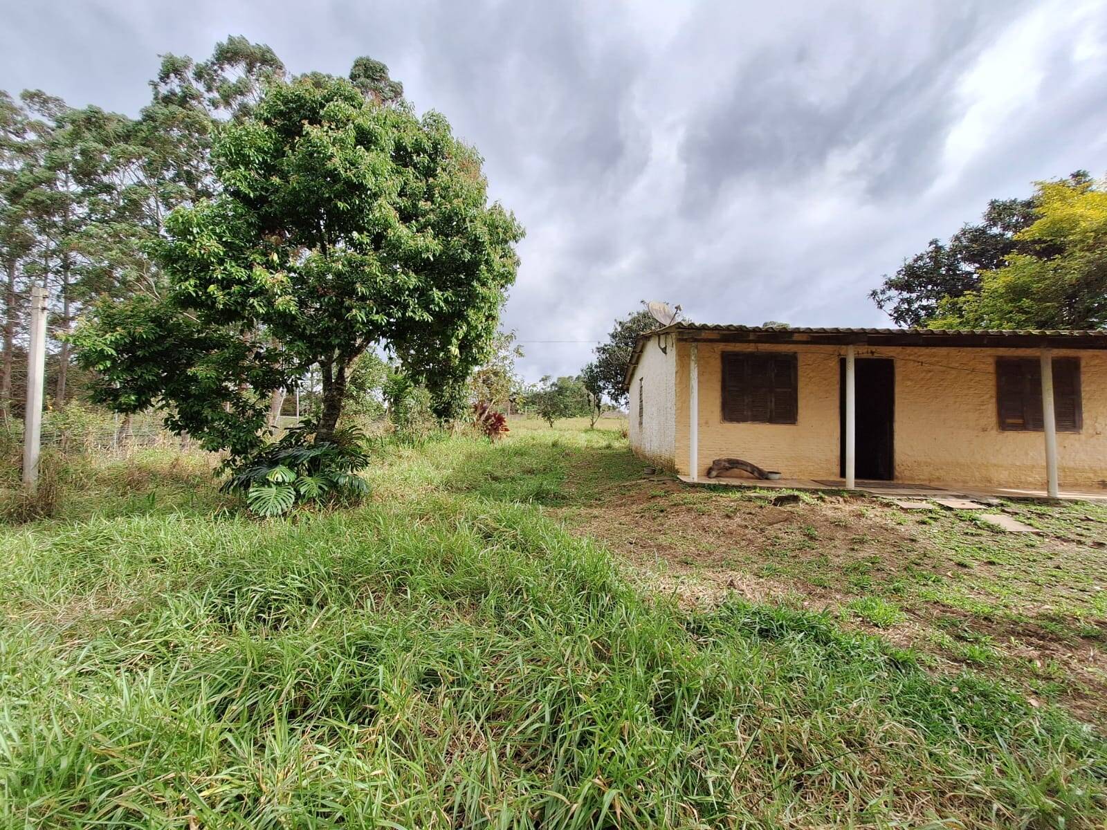 Fazenda à venda com 2 quartos, 60m² - Foto 15