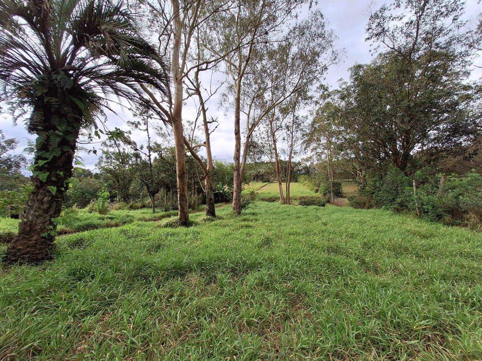 Fazenda à venda com 2 quartos, 60m² - Foto 13