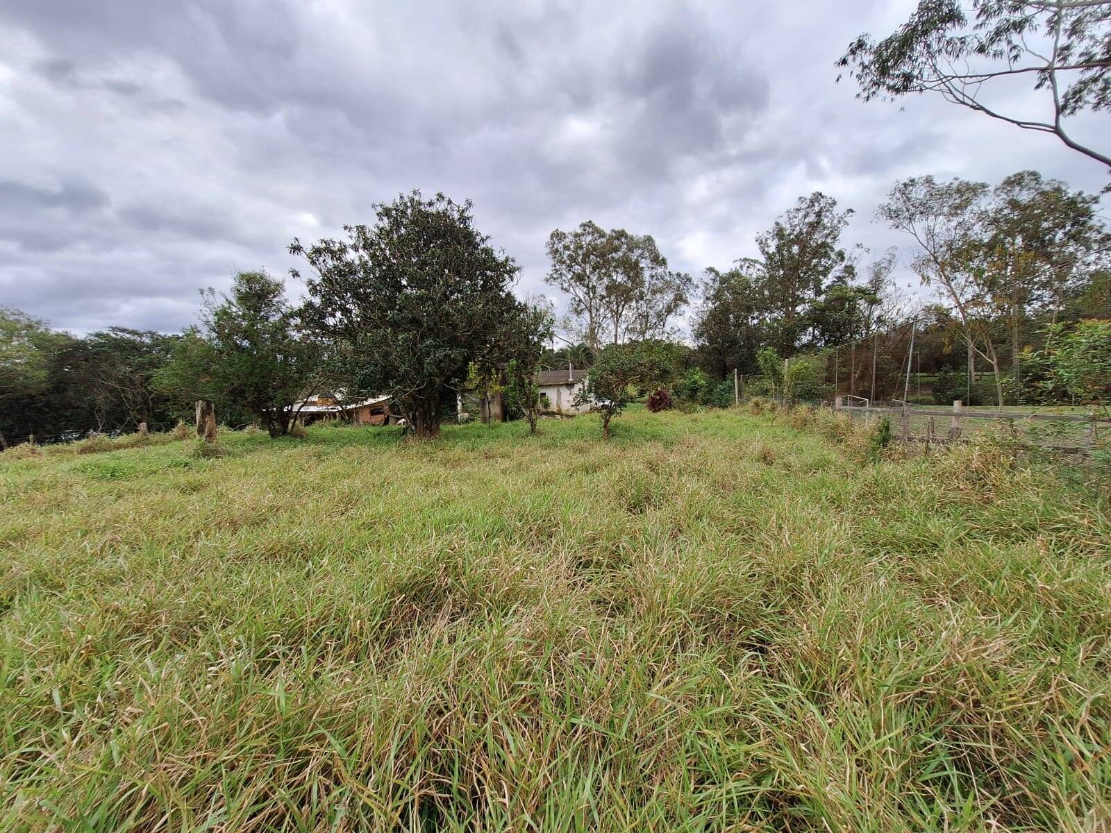 Fazenda à venda com 2 quartos, 60m² - Foto 6