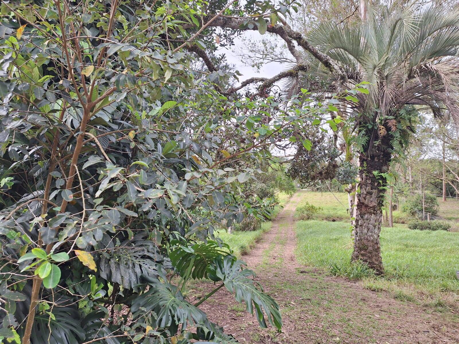 Fazenda à venda com 2 quartos, 60m² - Foto 18