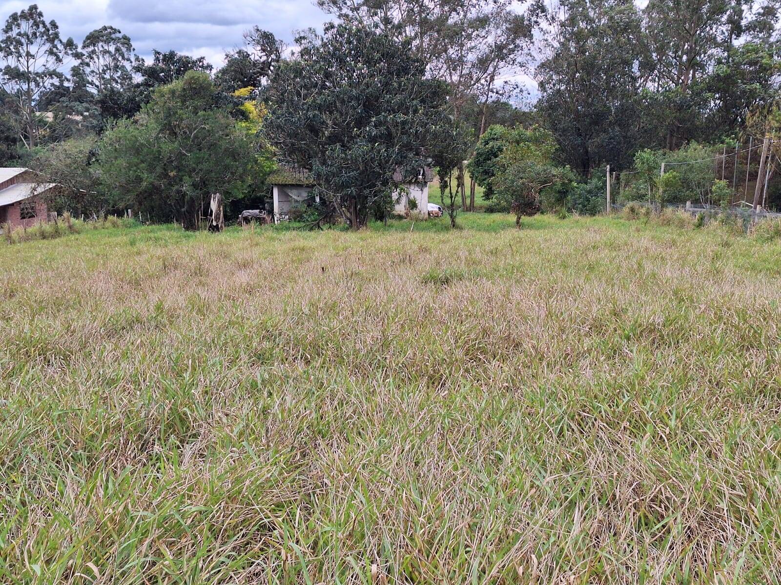 Fazenda à venda com 2 quartos, 60m² - Foto 12