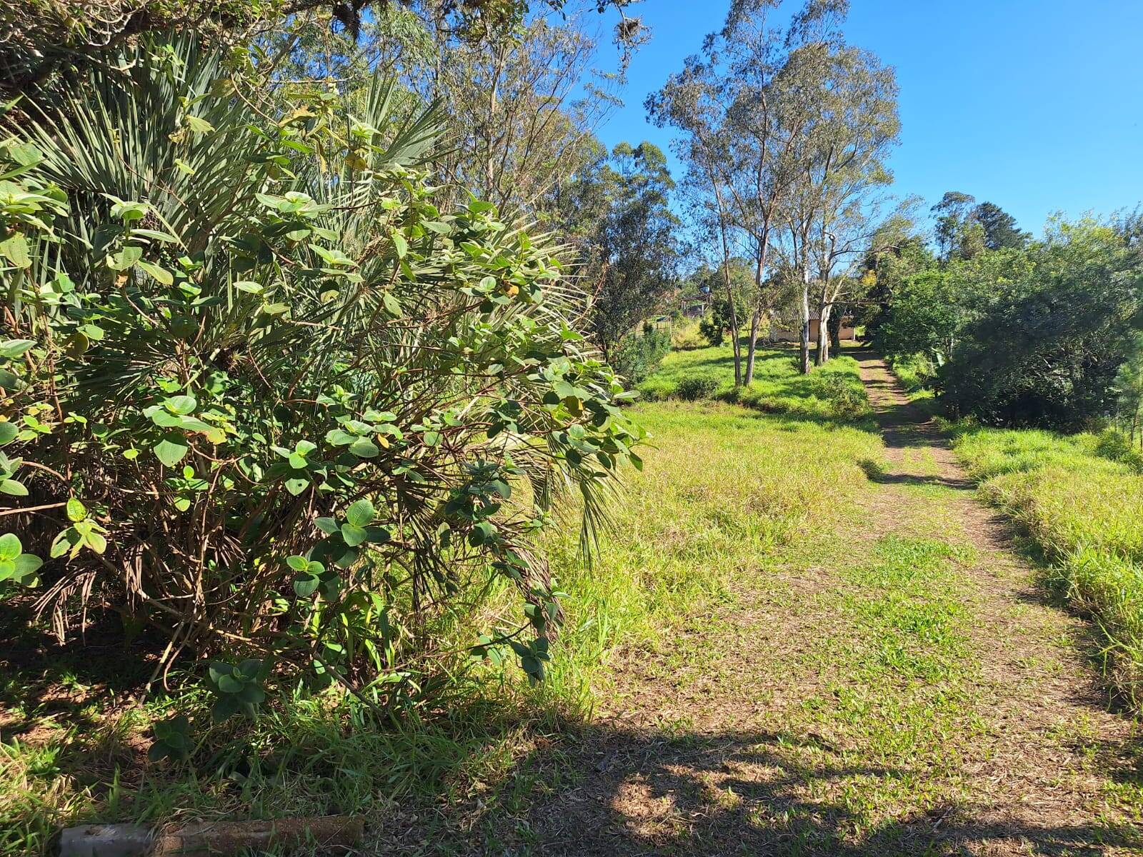 Fazenda à venda com 2 quartos, 60m² - Foto 2