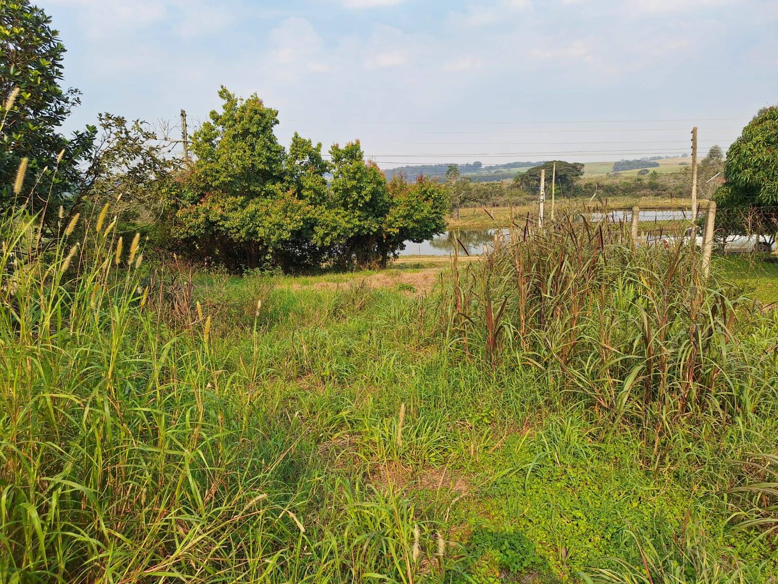 Terreno à venda, 850m² - Foto 6