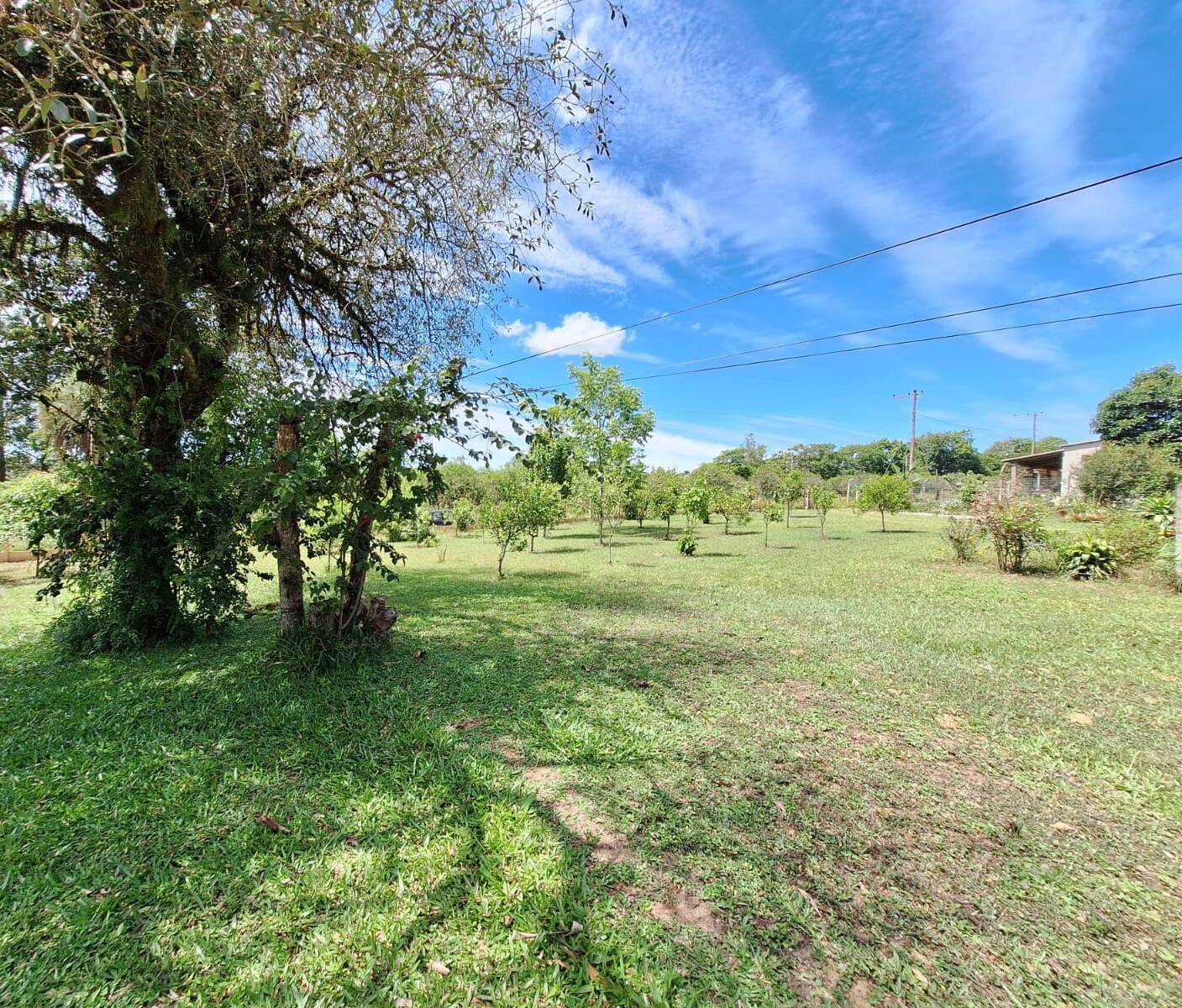 Fazenda à venda com 2 quartos, 99m² - Foto 6