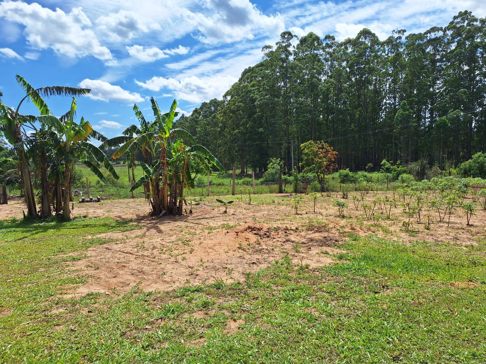 Fazenda à venda com 2 quartos, 99m² - Foto 8