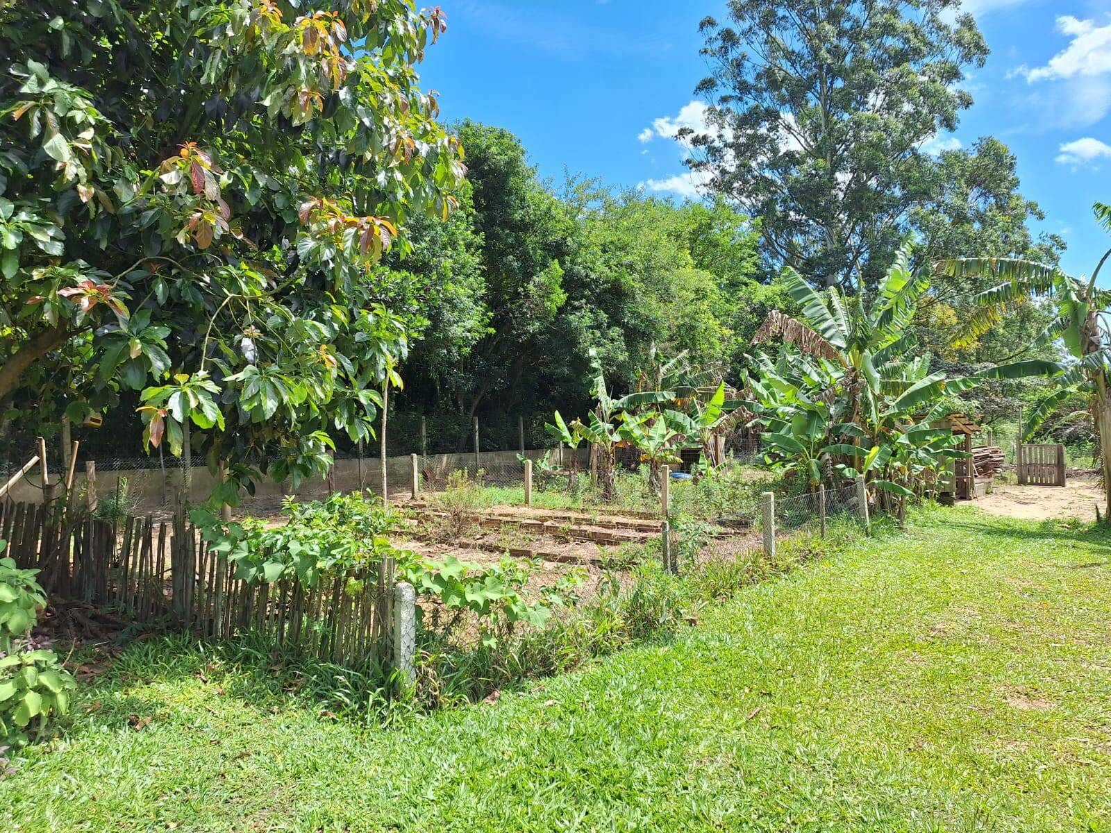 Fazenda à venda com 2 quartos, 99m² - Foto 7