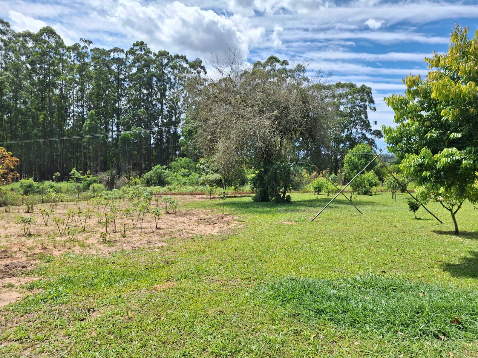 Fazenda à venda com 2 quartos, 99m² - Foto 10