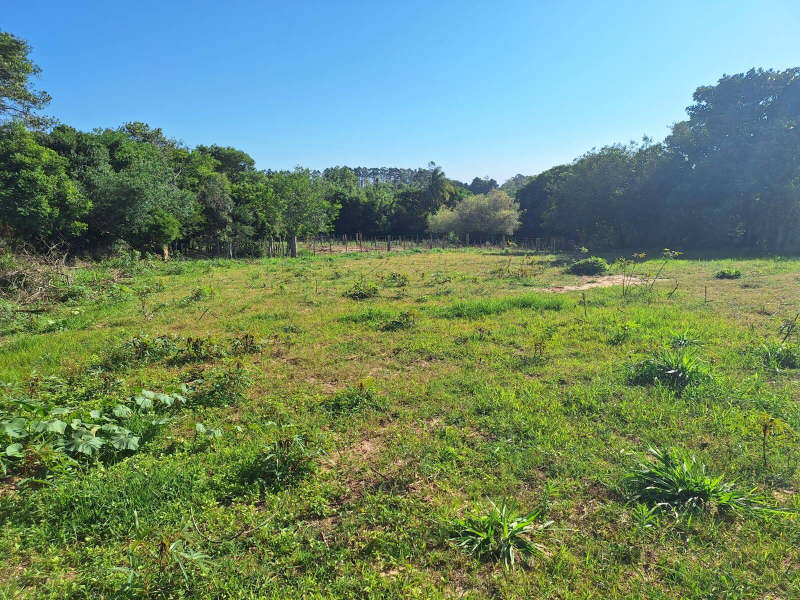 Terreno à venda, 1280m² - Foto 1