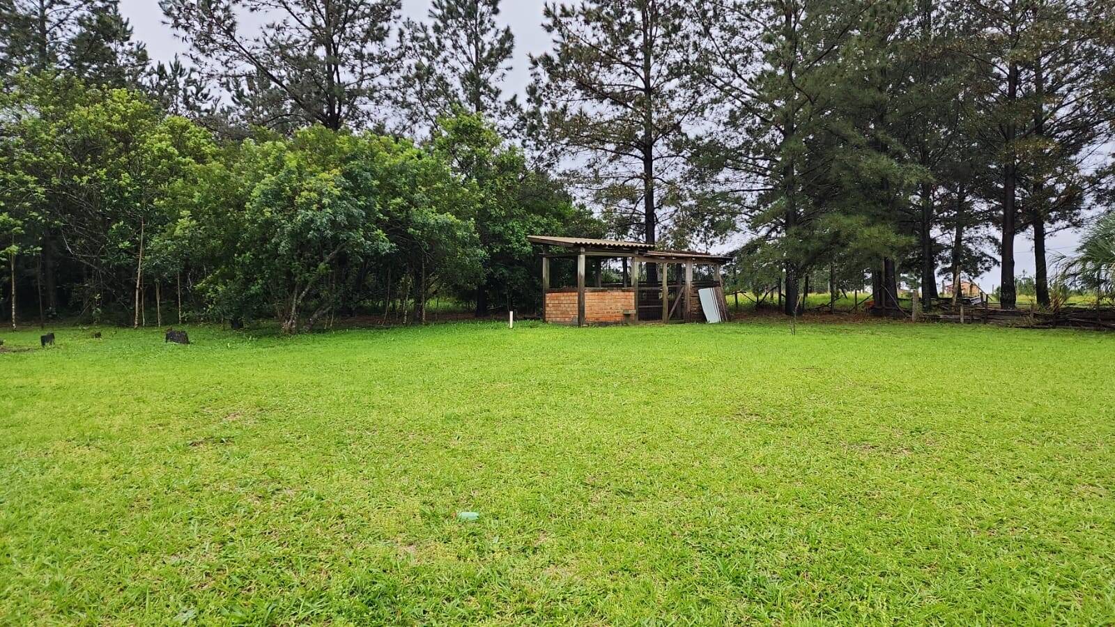 Fazenda à venda com 2 quartos, 4000m² - Foto 23