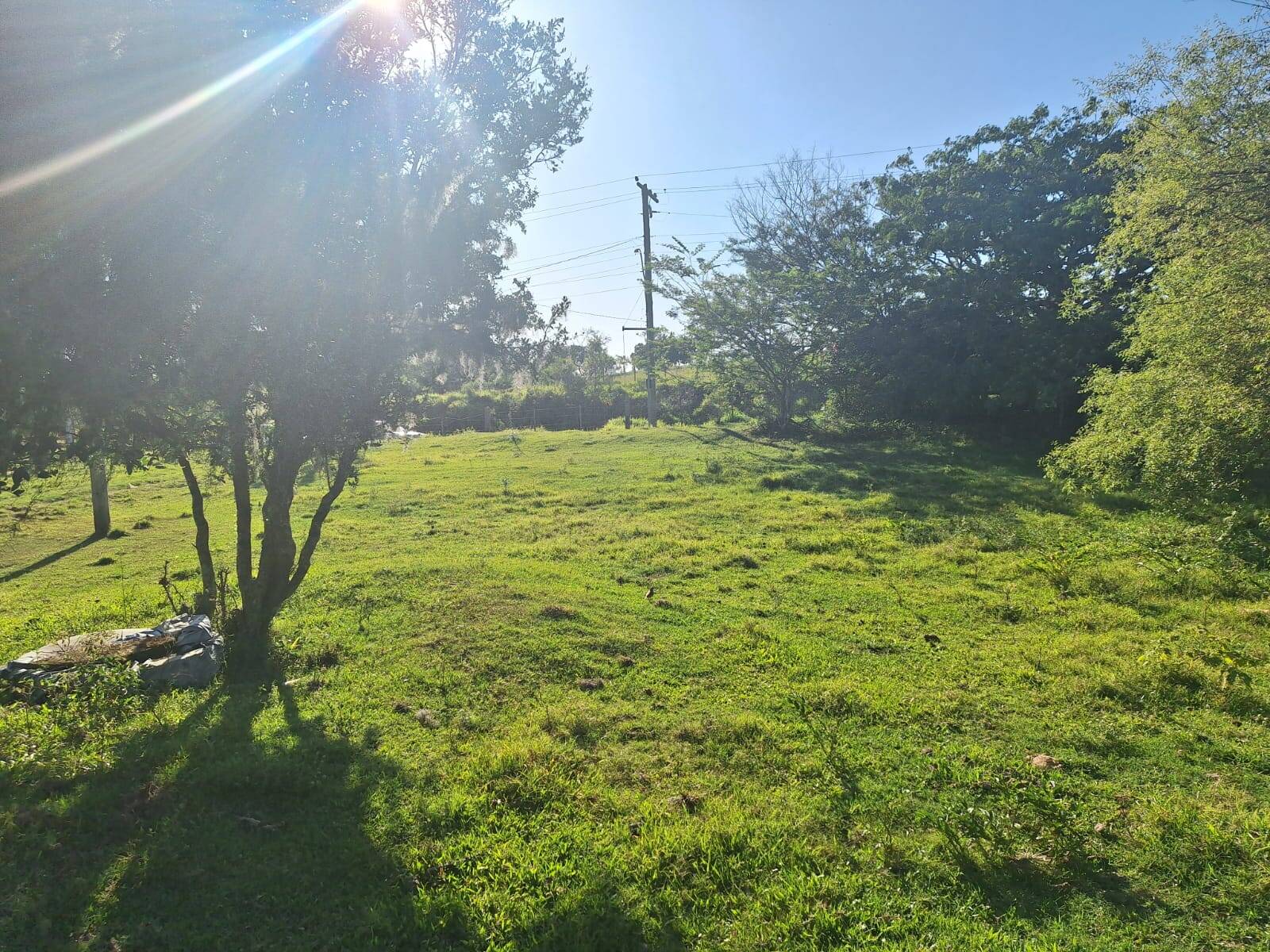 Fazenda à venda com 3 quartos, 110m² - Foto 18