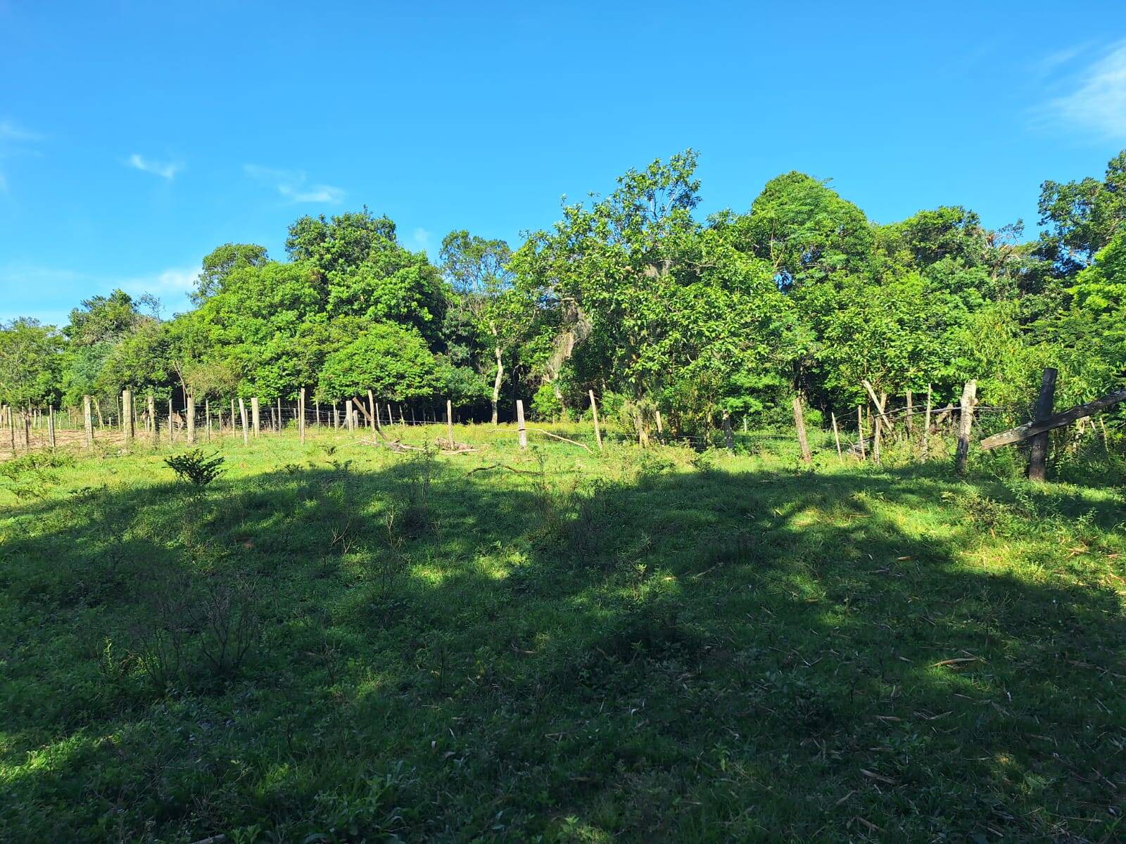 Fazenda à venda com 3 quartos, 110m² - Foto 26