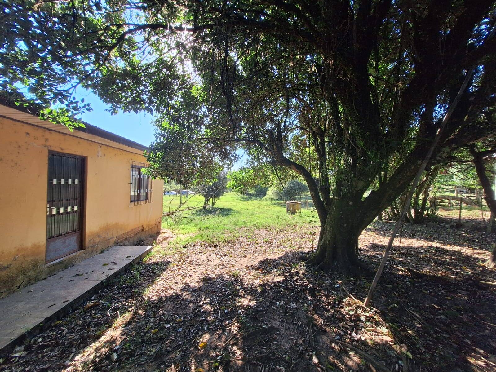 Fazenda à venda com 3 quartos, 110m² - Foto 5