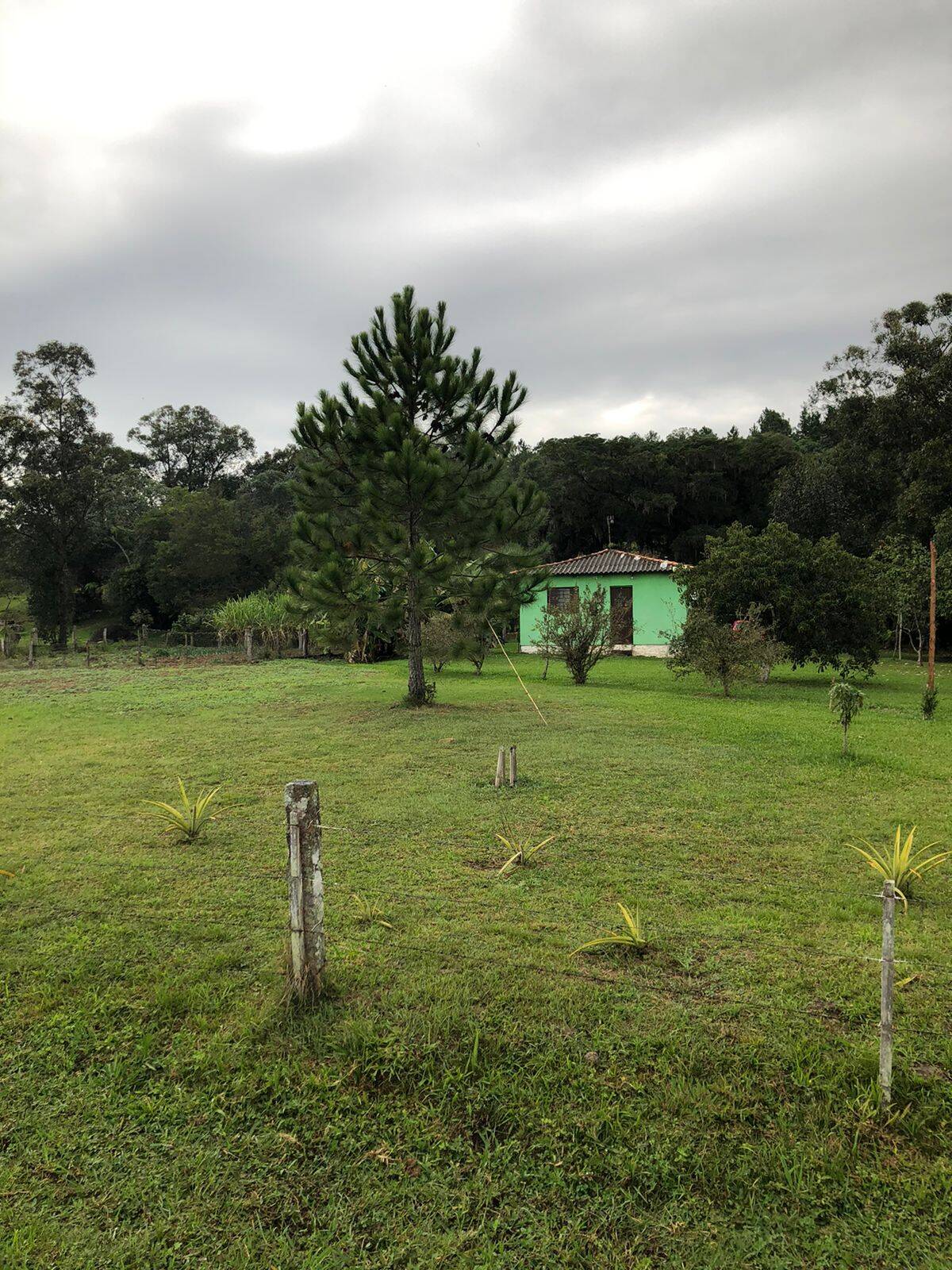 Casa à venda com 2 quartos, 70m² - Foto 5