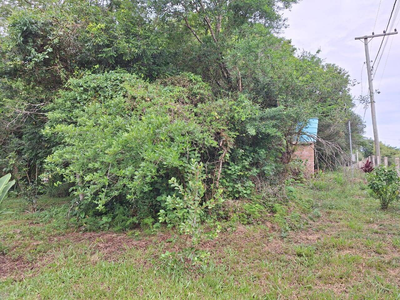 Fazenda à venda com 2 quartos, 271m² - Foto 31