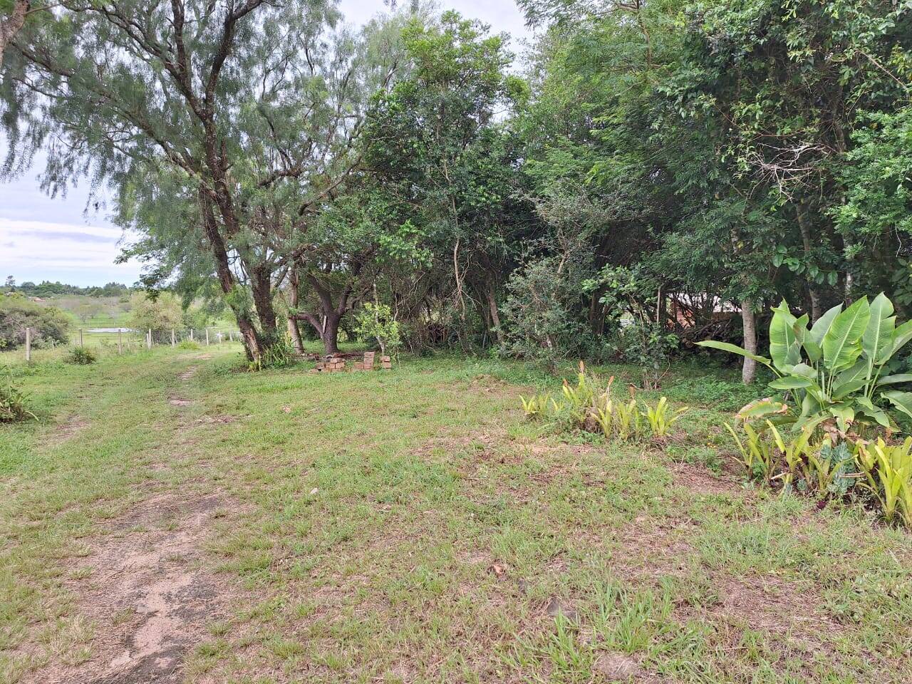 Fazenda à venda com 2 quartos, 271m² - Foto 33