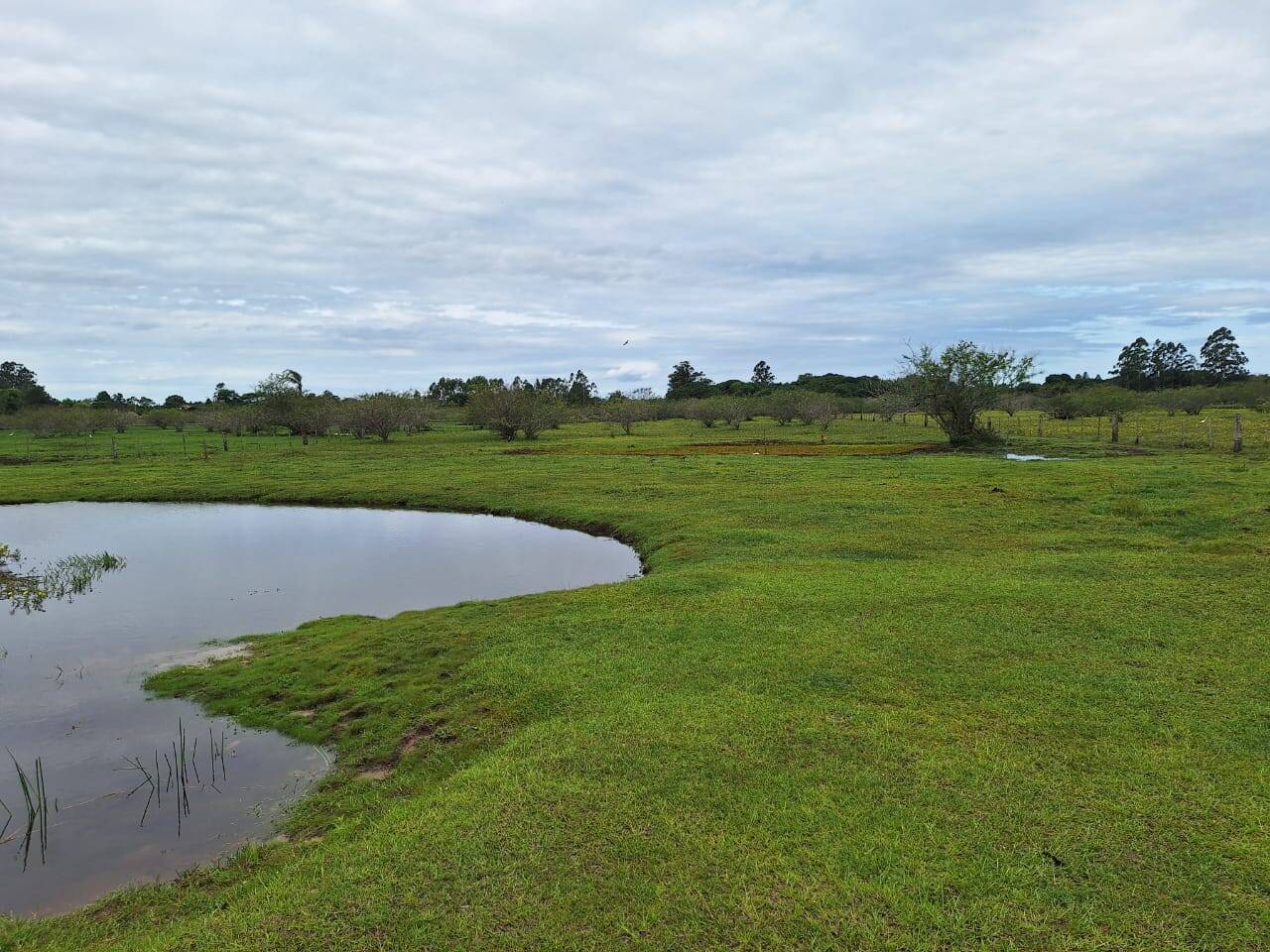 Fazenda à venda com 2 quartos, 271m² - Foto 38