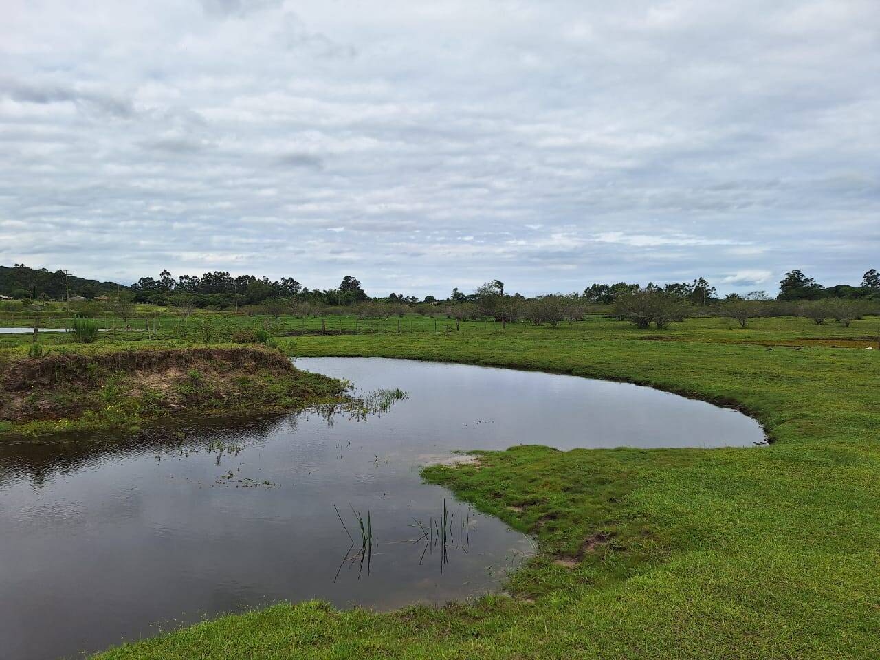 Fazenda à venda com 2 quartos, 271m² - Foto 5